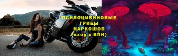 гидра Бронницы