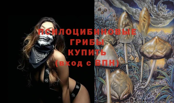 кокаин перу Богданович
