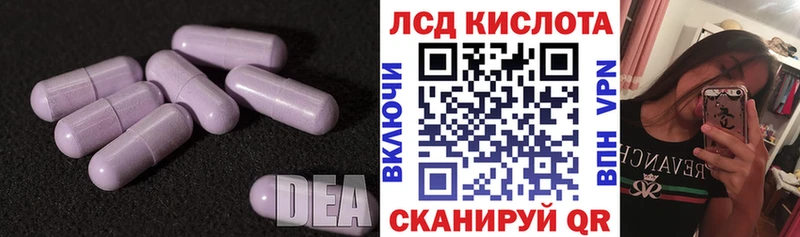 гидра онион  Дальнегорск  Лсд 25 экстази ecstasy 