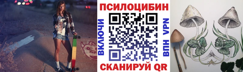 Псилоцибиновые грибы прущие грибы  Дальнегорск 